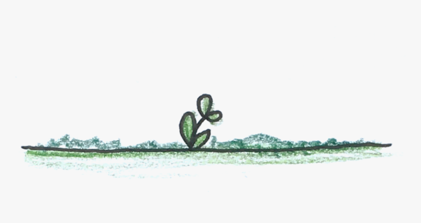 Grass, HD Png Download