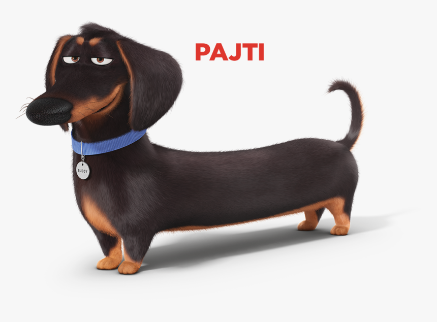Dog Secret Life Of Pets Characters, HD Png Download