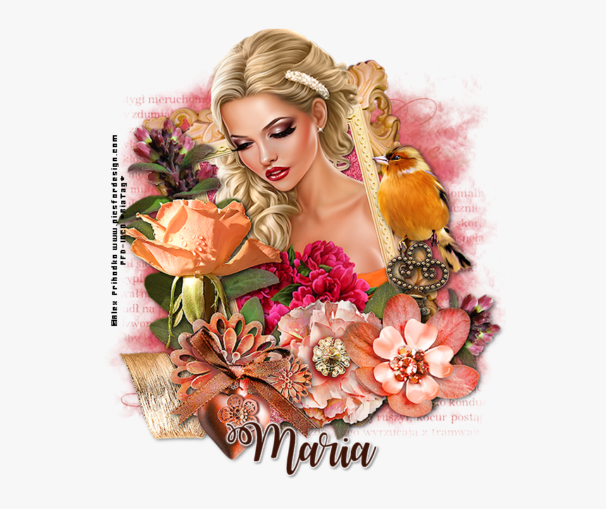 Mariatende-vi From Amela - Garden Roses, HD Png Download