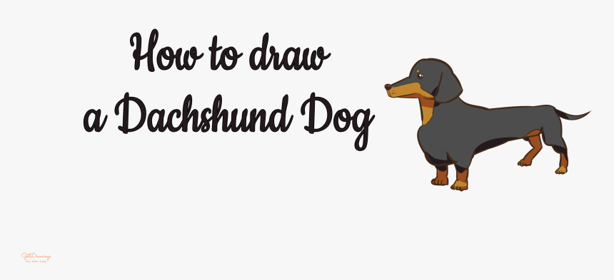 Dachshund, HD Png Download