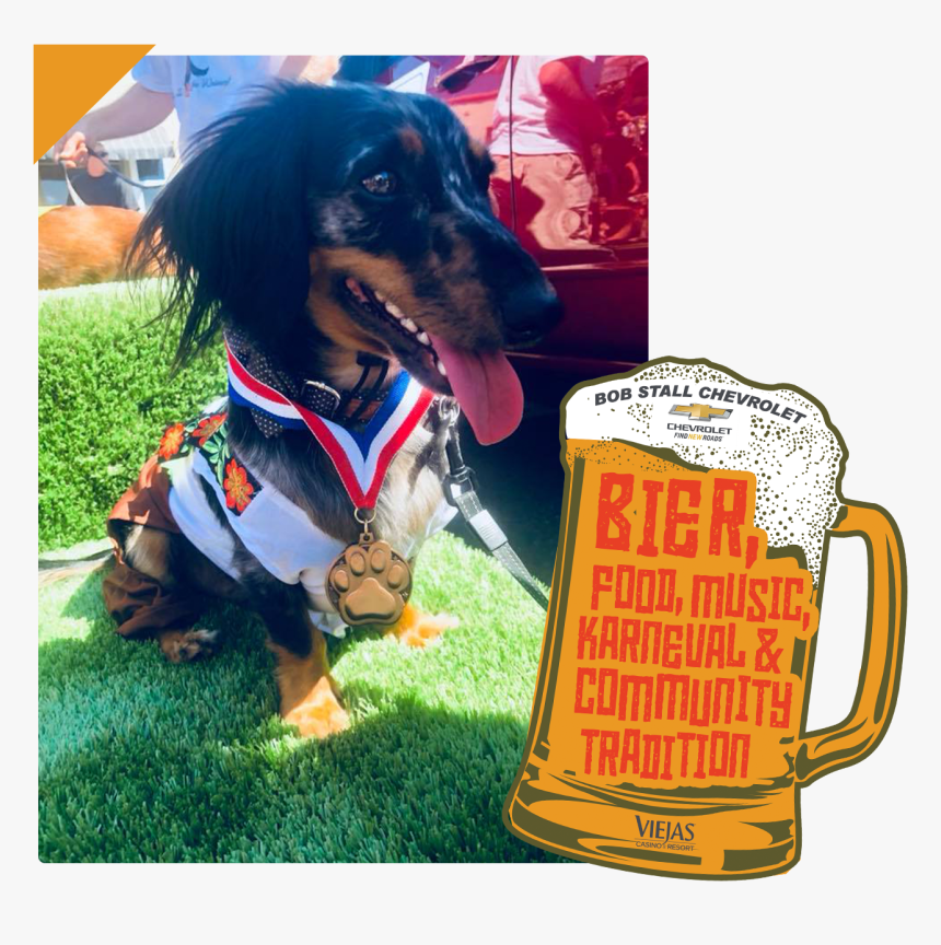 Weiner Dog Png, Transparent Png