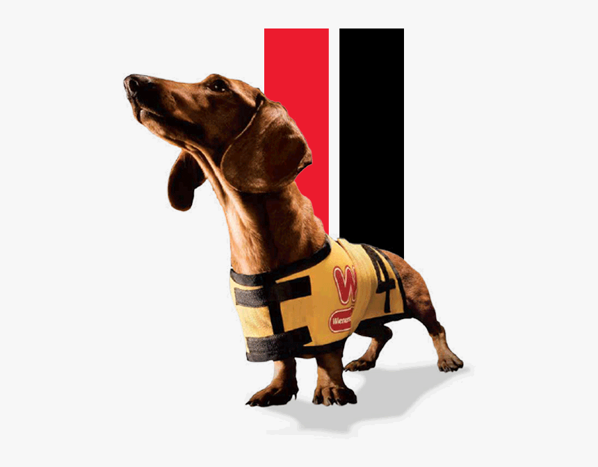 Weiner Dog, HD Png Download