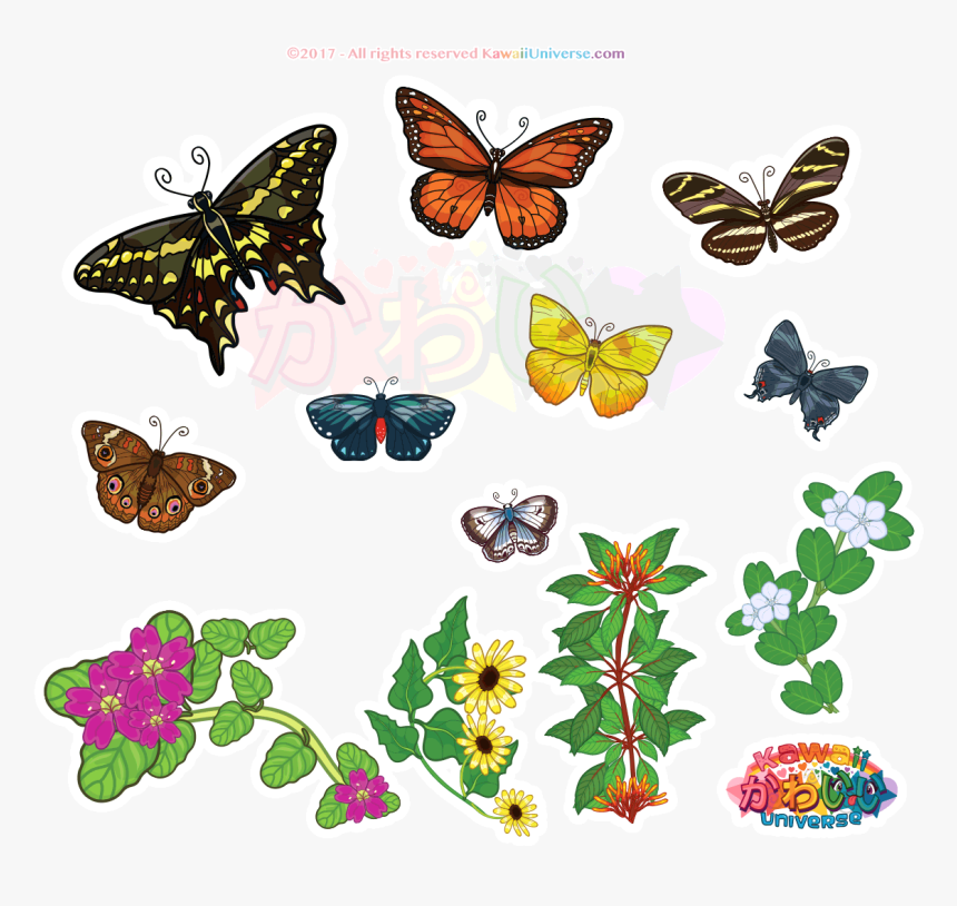 Kawaii Universe Florida Butterflies Animati By Db9ro3k - Speckled Wood (butterfly, HD Png Download