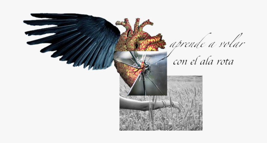 Origami, HD Png Download