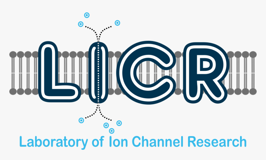 Logo - Graphic Design, HD Png Download