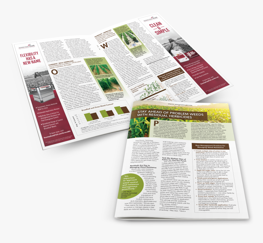 Flyer, HD Png Download