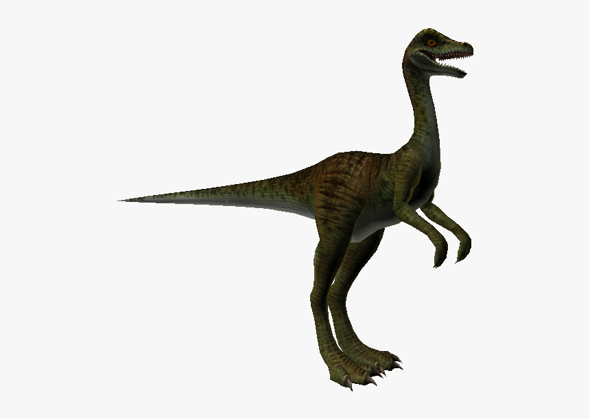 Arwingpedia - Star Fox Shadowhunter, HD Png Download