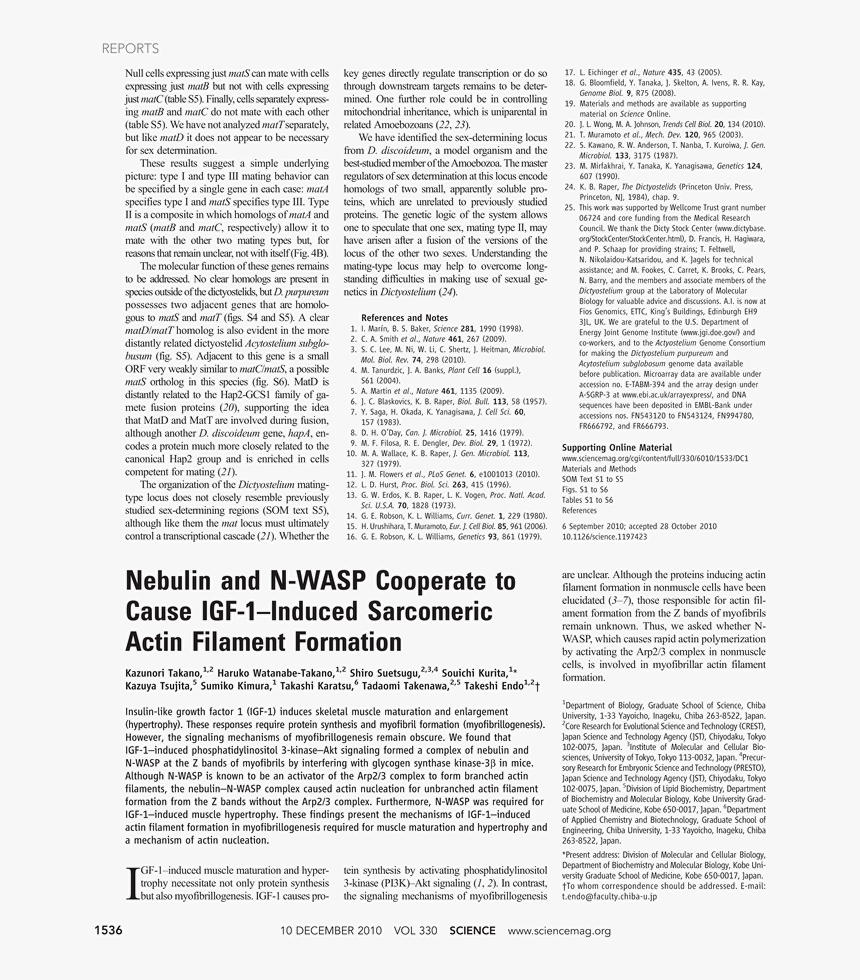 Document, HD Png Download
