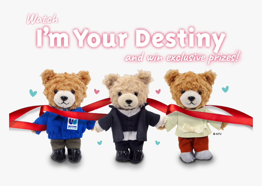 Teddy Bear, HD Png Download