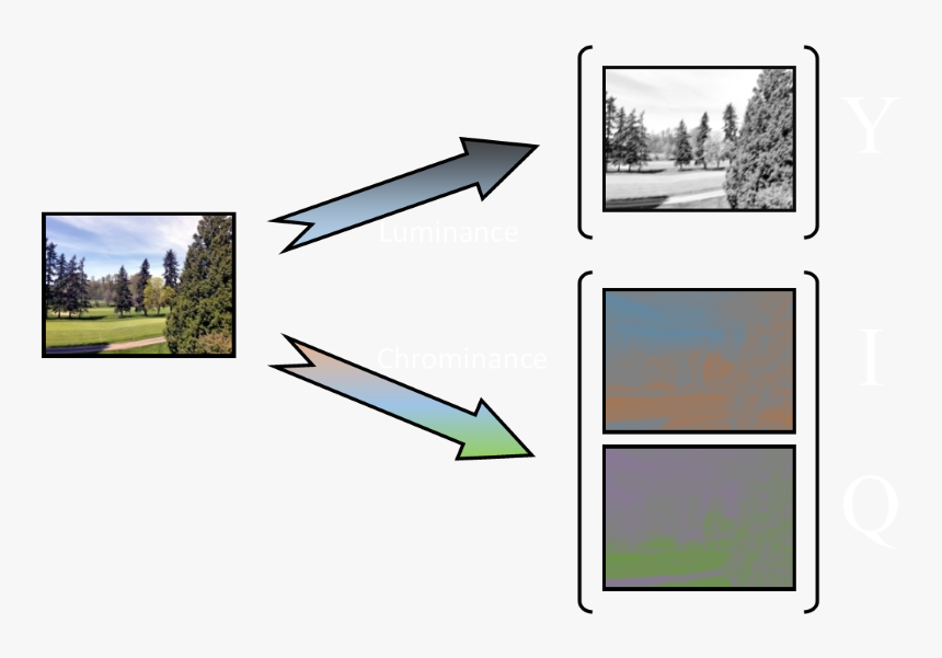 Tree, HD Png Download