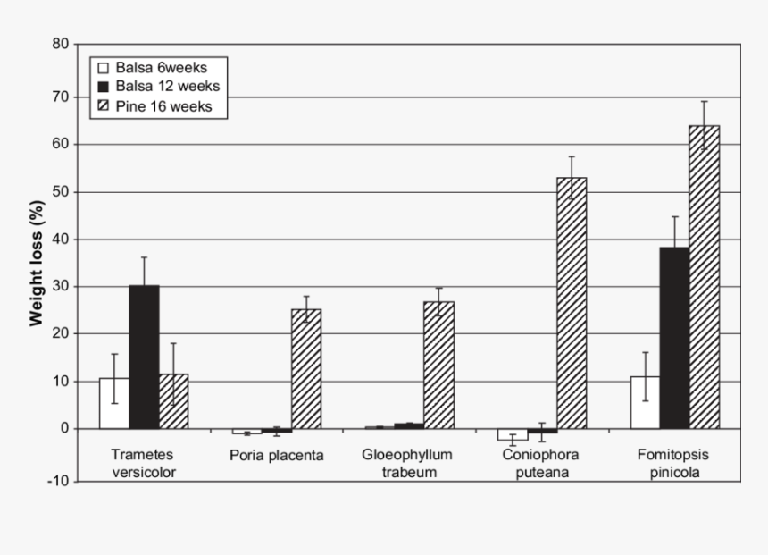 Diagram, HD Png Download