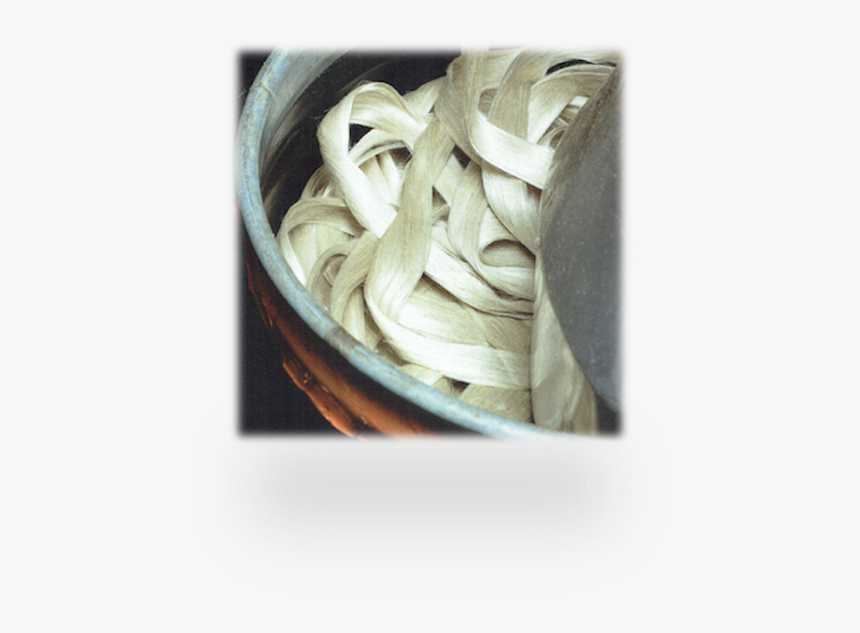 El Lino - Tagliatelle, HD Png Download