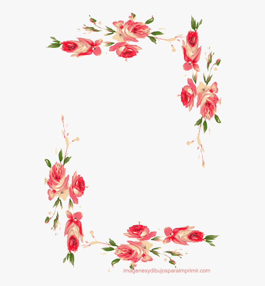 Marcos Rosas Png - Garden Roses, Transparent Png