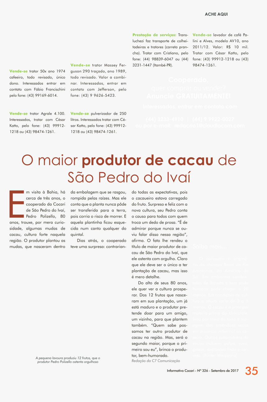 Pelo Png, Transparent Png