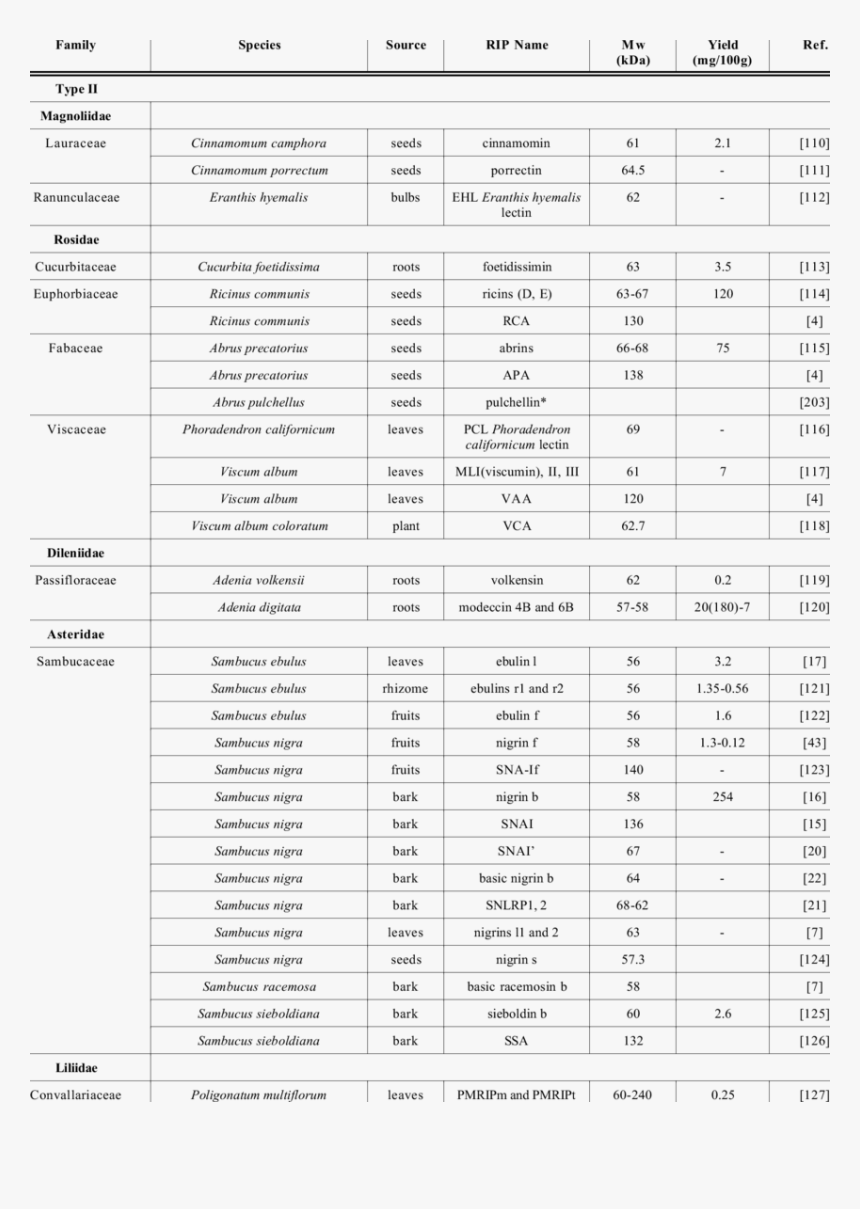 Classification Of Fungi And Bacteria, HD Png Download