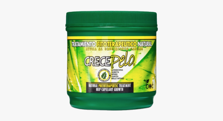 Saw Palmetto, HD Png Download