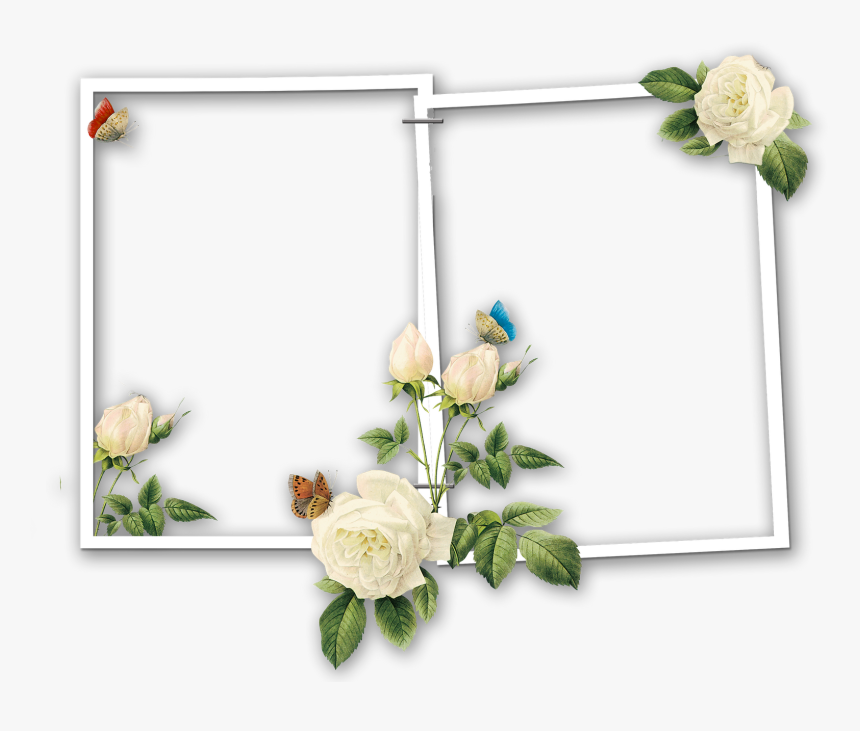 2 pic photo frame 100 authentic