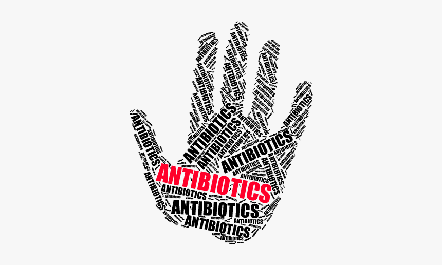 Antibiotics In Animal Feed - Hand, HD Png Download
