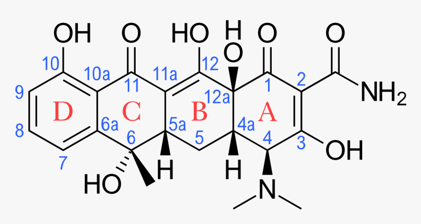Tetracycline Antibiotics, HD Png Download