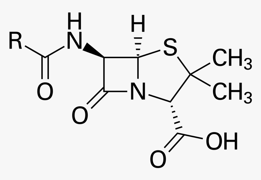 Penicillin Structure, HD Png Download