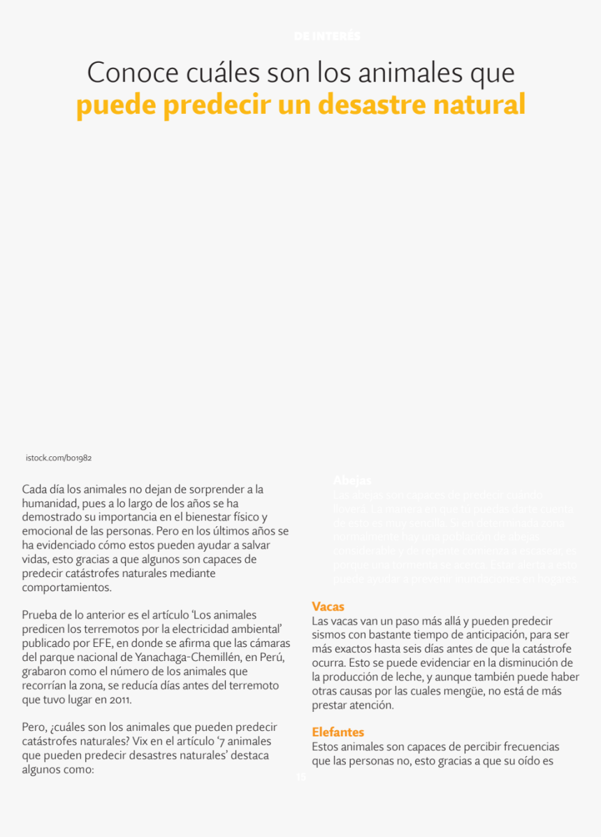 Document, HD Png Download