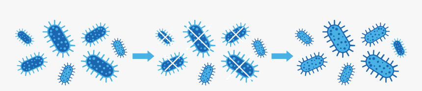 Antibiotic Resistant Bacteria Icon, HD Png Download