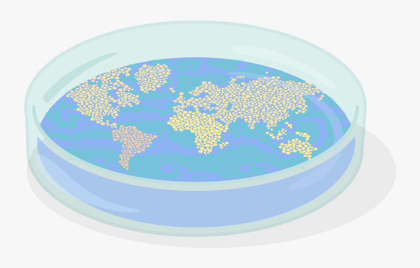 Circle, HD Png Download