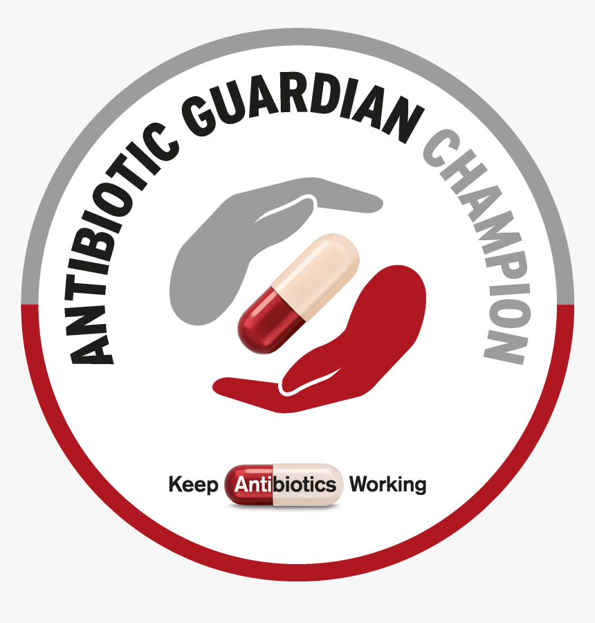 British Army Badge, HD Png Download