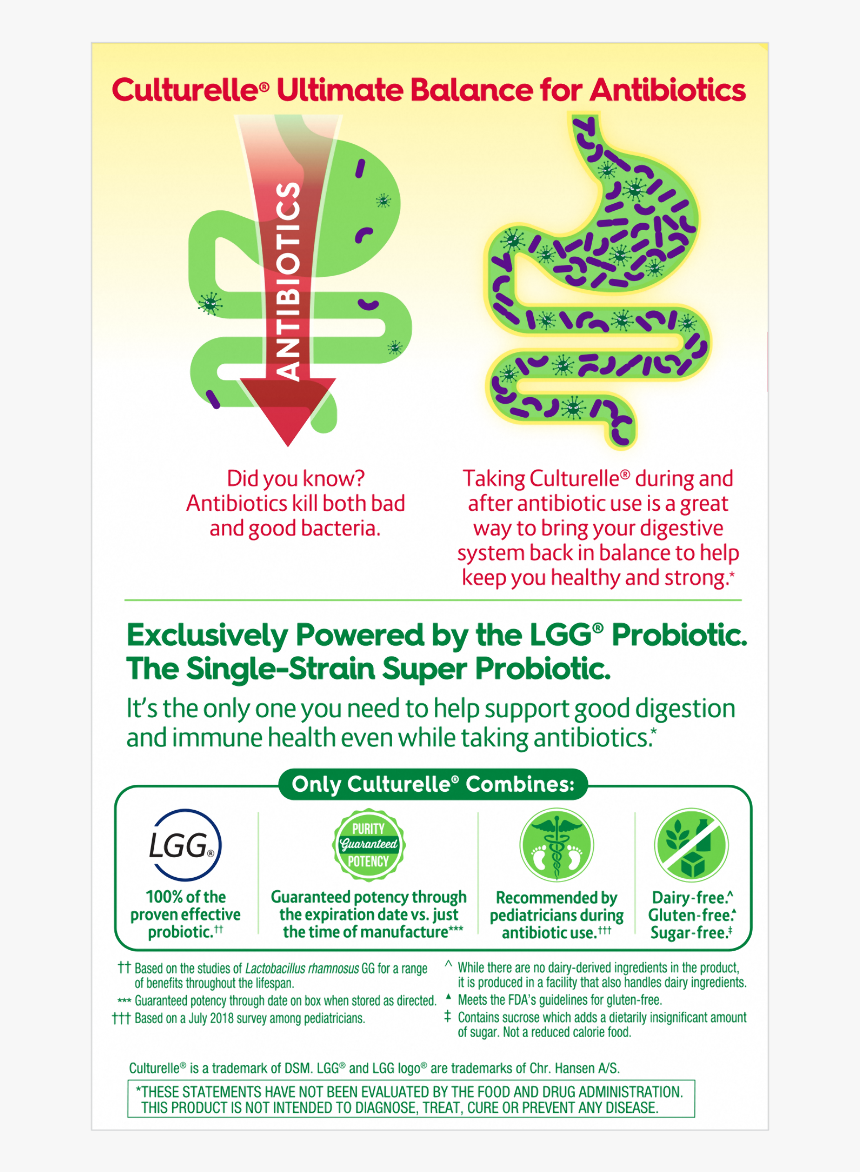 Flyer, HD Png Download