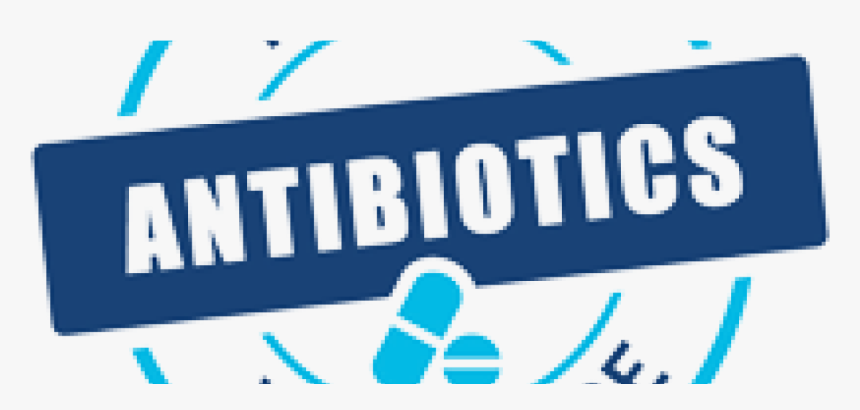 Antibiotic Awareness Week 2019, HD Png Download