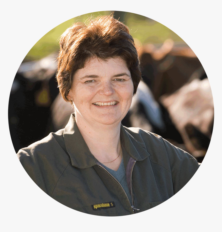 Wall Clock, HD Png Download