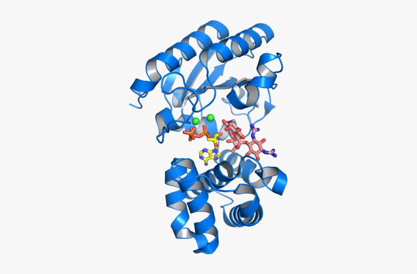 Antibiotic Resistance Enzyme With A Molecule Of Streptomycin - Antibiotic Resistance Proteins, HD Png Download