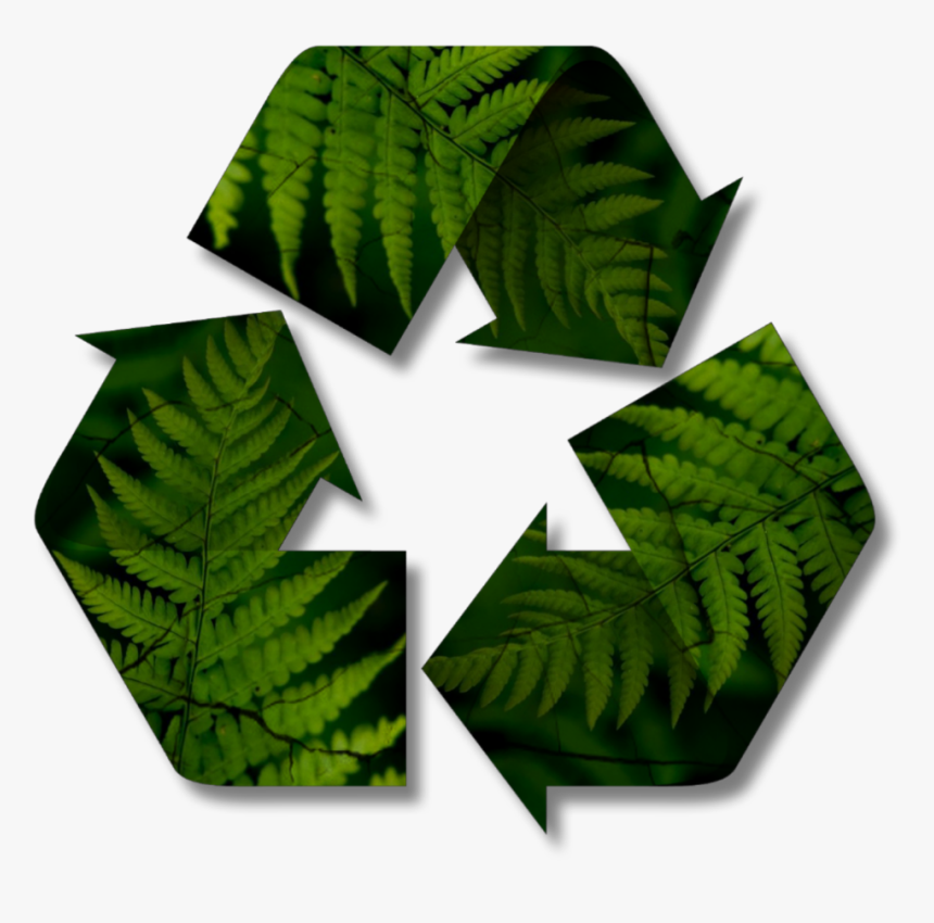 #freetoedit #recycable #reciclable #recycling #reciclado, HD Png Download