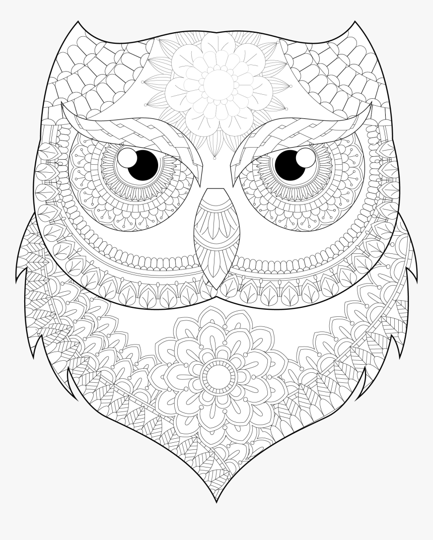 Mandala De Buho, HD Png Download