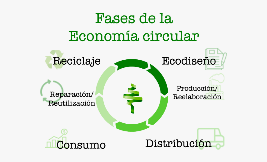 Circle, HD Png Download