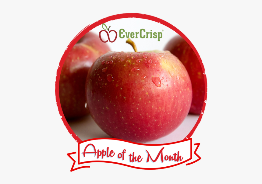 Apple, HD Png Download