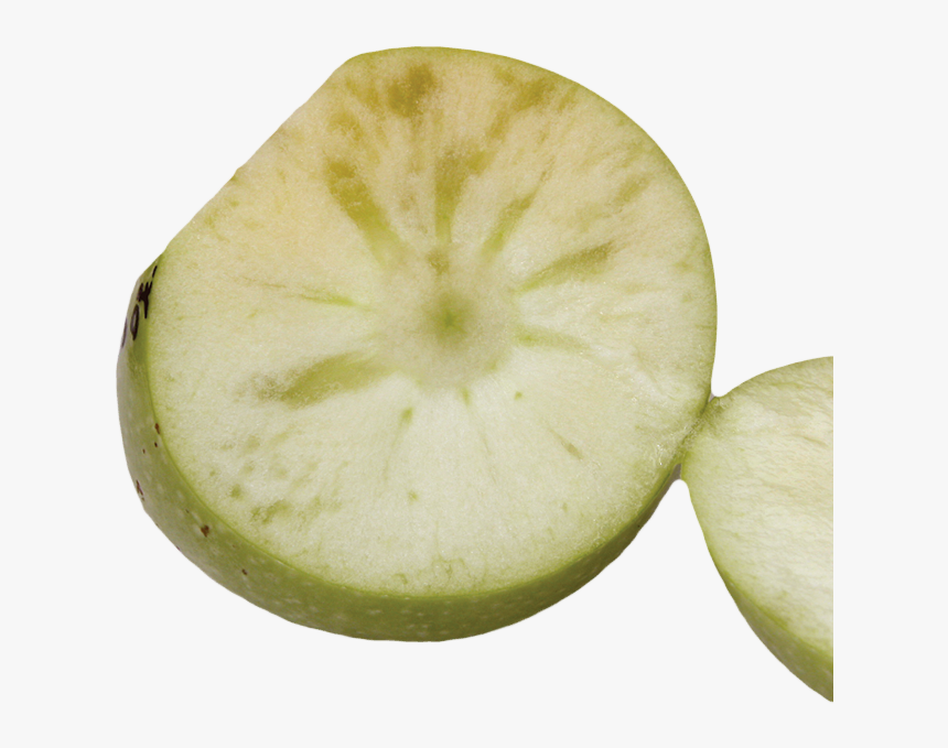 Tomato, HD Png Download
