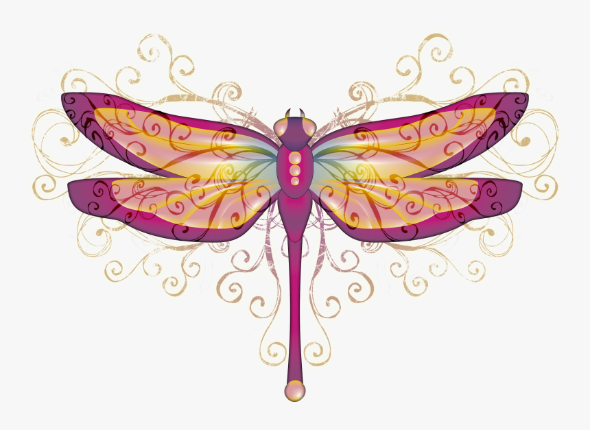 Transparent Dragonfly Wings Png - Illustration, Png Download