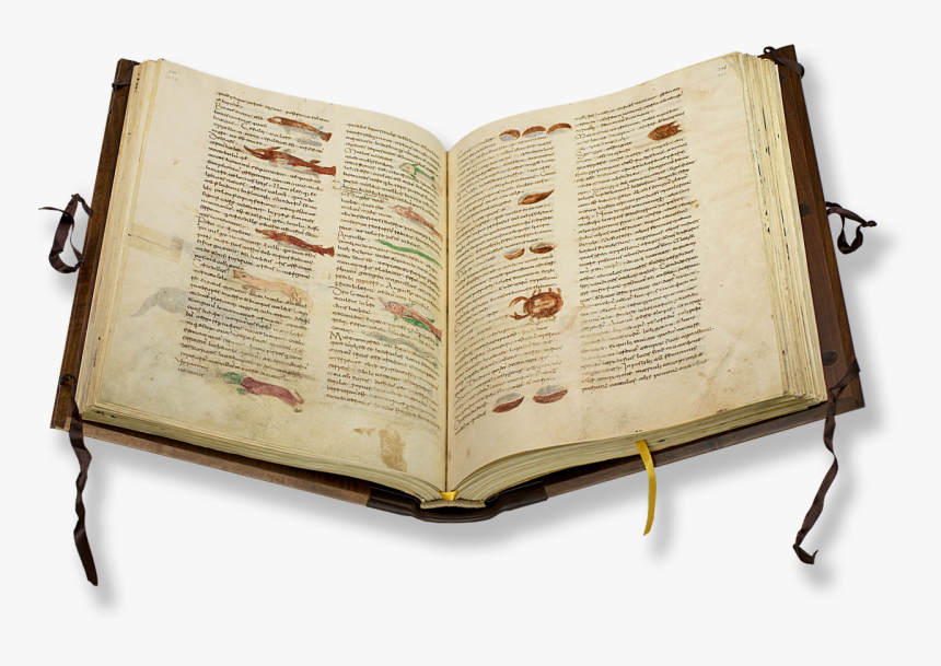 Utet Rabanus Maurus De Universo, HD Png Download