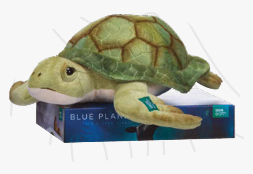 Bbc Blue Planet Turtle 30cm - Kemp's Ridley Sea Turtle, HD Png Download