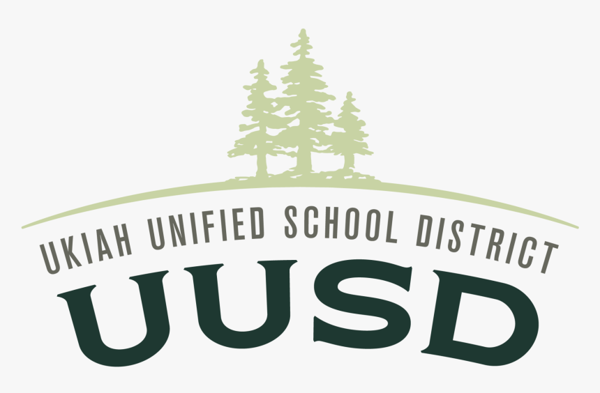 Christmas Tree, HD Png Download