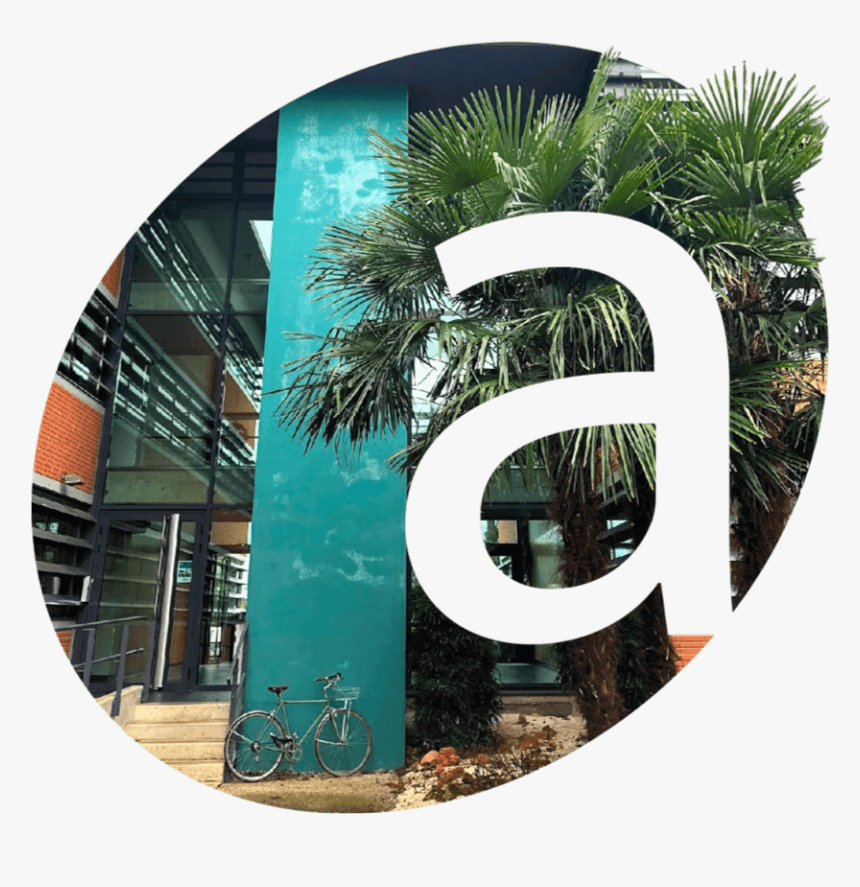 Roystonea, HD Png Download