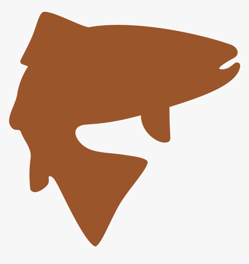 Fly Fishing Trips We Offer, HD Png Download