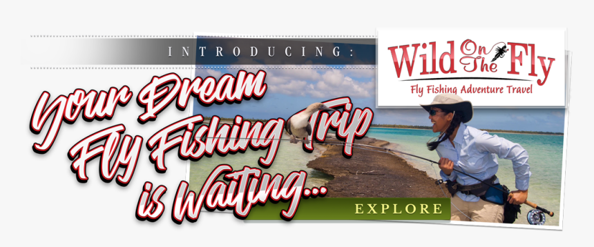 Poster, HD Png Download