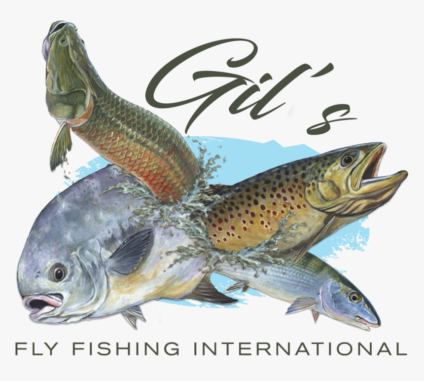 Brown Trout, HD Png Download