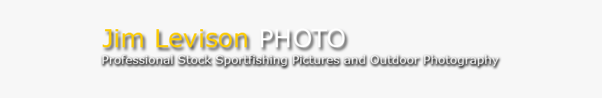 Ivory, HD Png Download