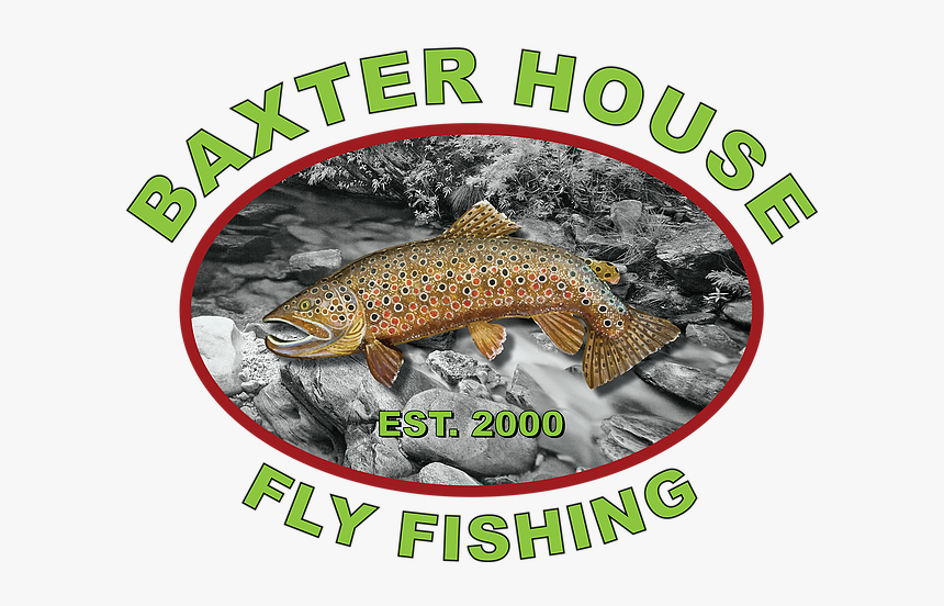 Baxter House Fly Fishing Logo - Trout, HD Png Download