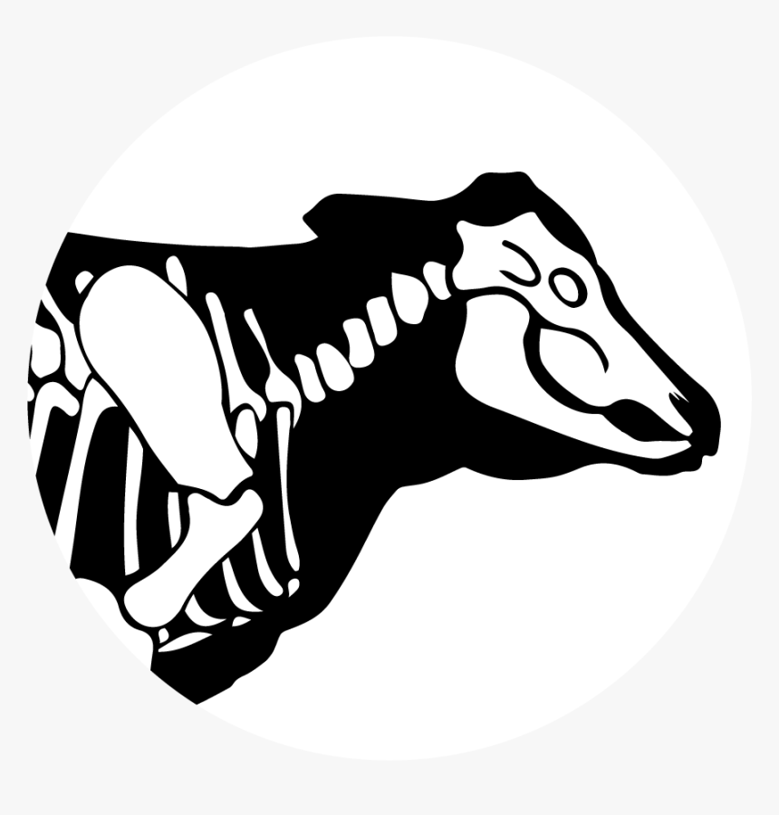 Bbb Insta - Tyrannosaurus, HD Png Download