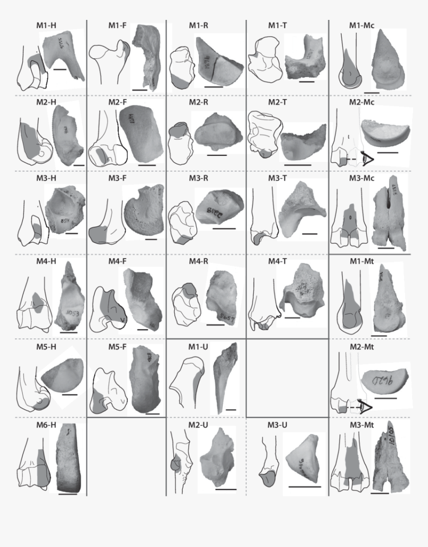 Office Chair, HD Png Download