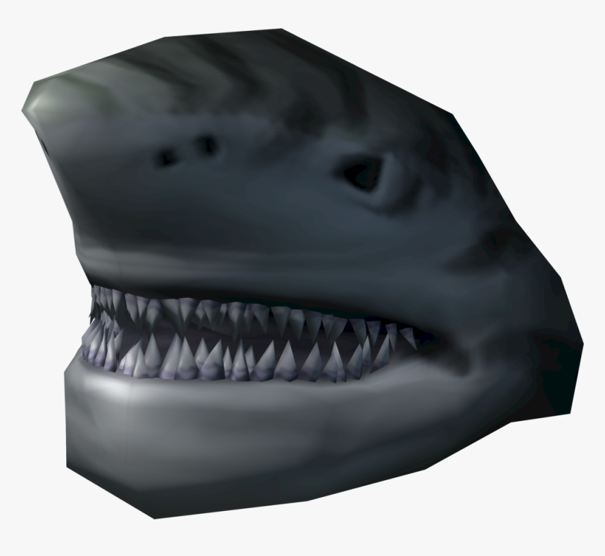 Transparent Tiger Head Png - Head Of A Shark, Png Download